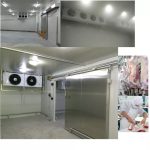 Guardians of Freshness: The Role of Cold Storage in Food Safety