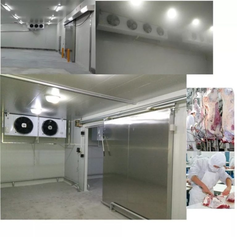 Guardians of Freshness: The Role of Cold Storage in Food Safety