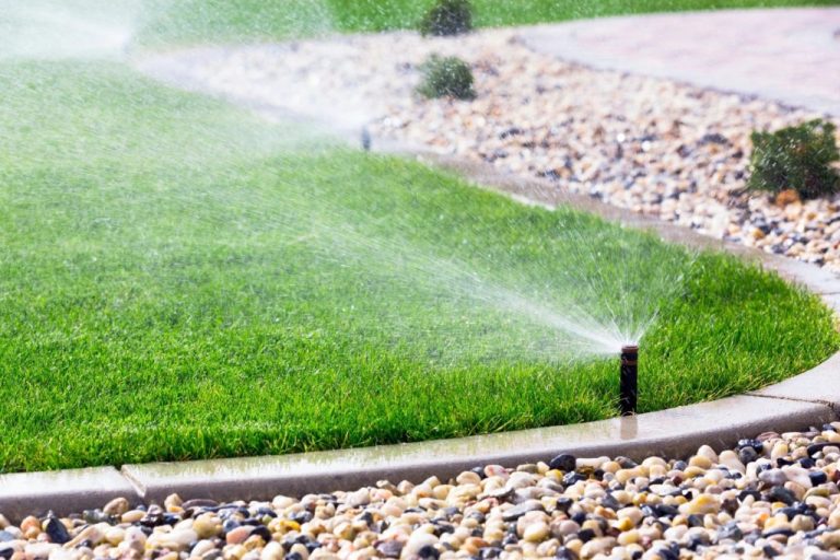 Modernize and Thrive Revamping Your Irrigation System