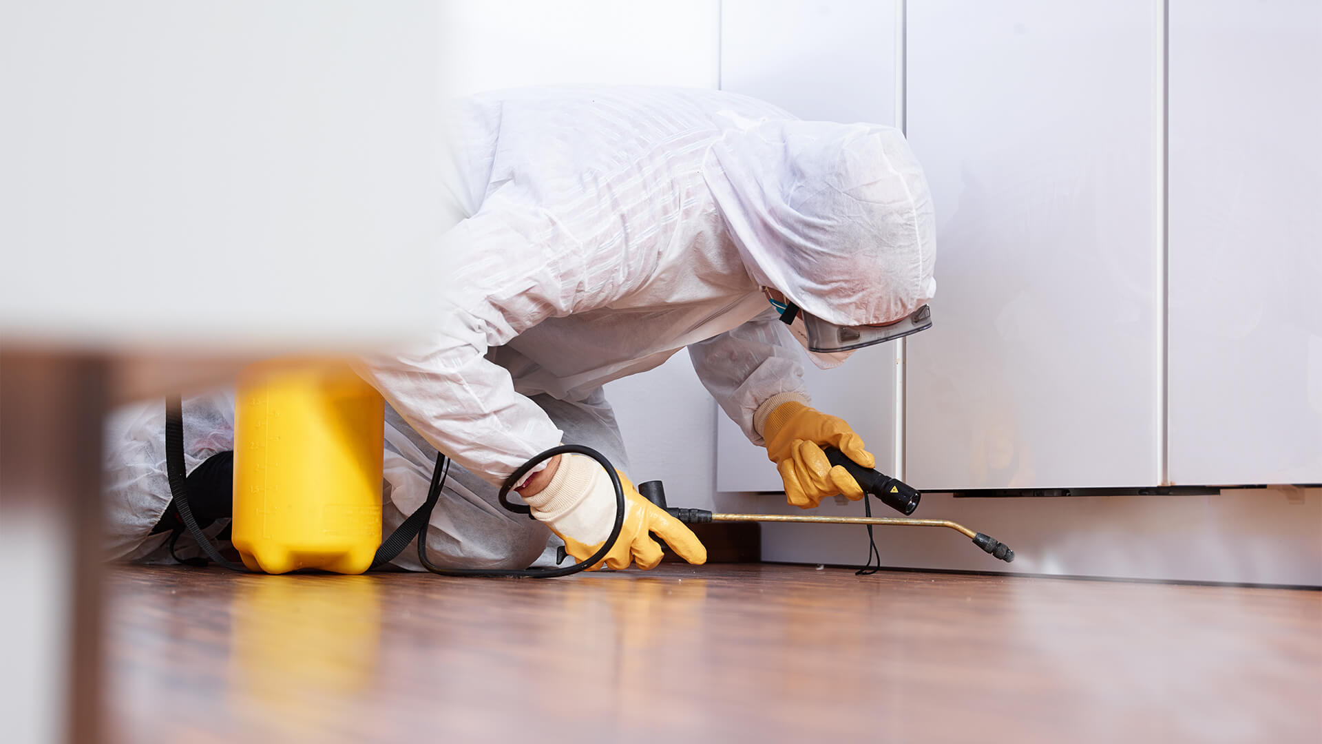 Safe Pest Control Measures for Commercial Spaces