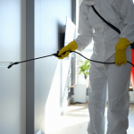 Safe Pest Eradication Effective Techniques for a Pest-Free Home