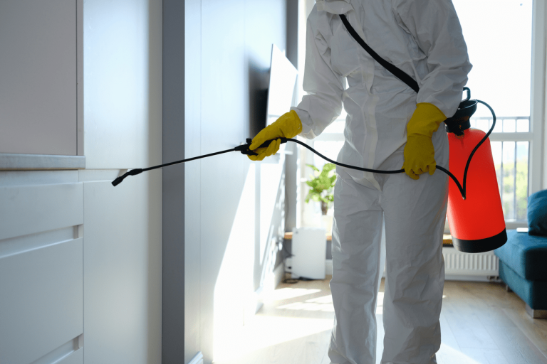 Safe Pest Eradication Effective Techniques for a Pest-Free Home