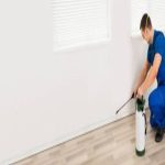 Sydney Pest Control: Understanding the Impact of Pest Infestations on Businesses