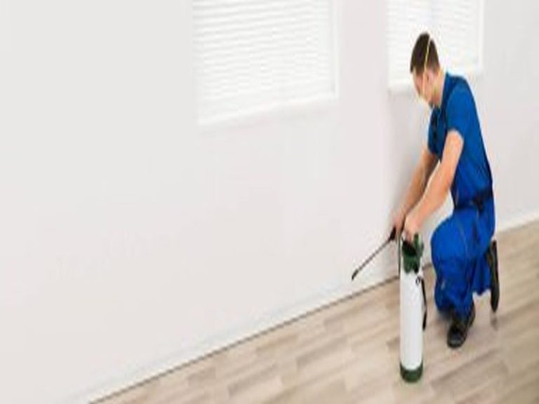 Sydney Pest Control: Understanding the Impact of Pest Infestations on Businesses