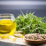 CBD Oil and Menopause: Managing Symptoms Naturally