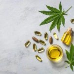 Enhancing Your Furry Friend's Wellness: The Comprehensive Guide to CBD Oil Benefits for Dogs in Canada