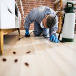 Navigating the Legal Aspects of Flea Pest Control Services in Sydney