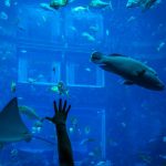 Birddogs Pants Net Worth A Fashionable Shark Tank Journey