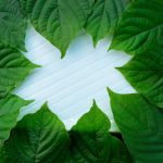 Discover the Uplifting Effects of White Maeng Da Kratom