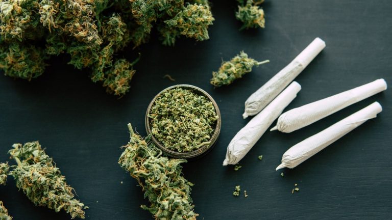 The Quiet Revolution THCA Flower and Its Therapeutic Promise