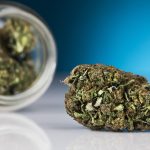 Delta 8 Flower The Safe and Legal Alternative You’ve Been Looking For