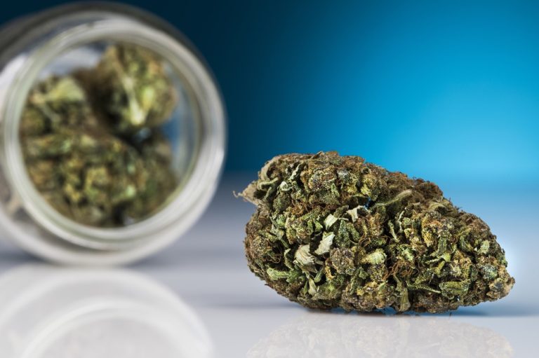 Delta 8 Flower The Safe and Legal Alternative You’ve Been Looking For