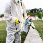 Sydney's Residential Termite Control: A Comprehensive Guide